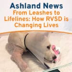 Ashland News – From Leashes to Lifelines: How RVSD is Changing Lives