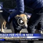 KDRV Story: “Breaking Down Barriers to Pet Care with Rogue Valley Street Dogs”